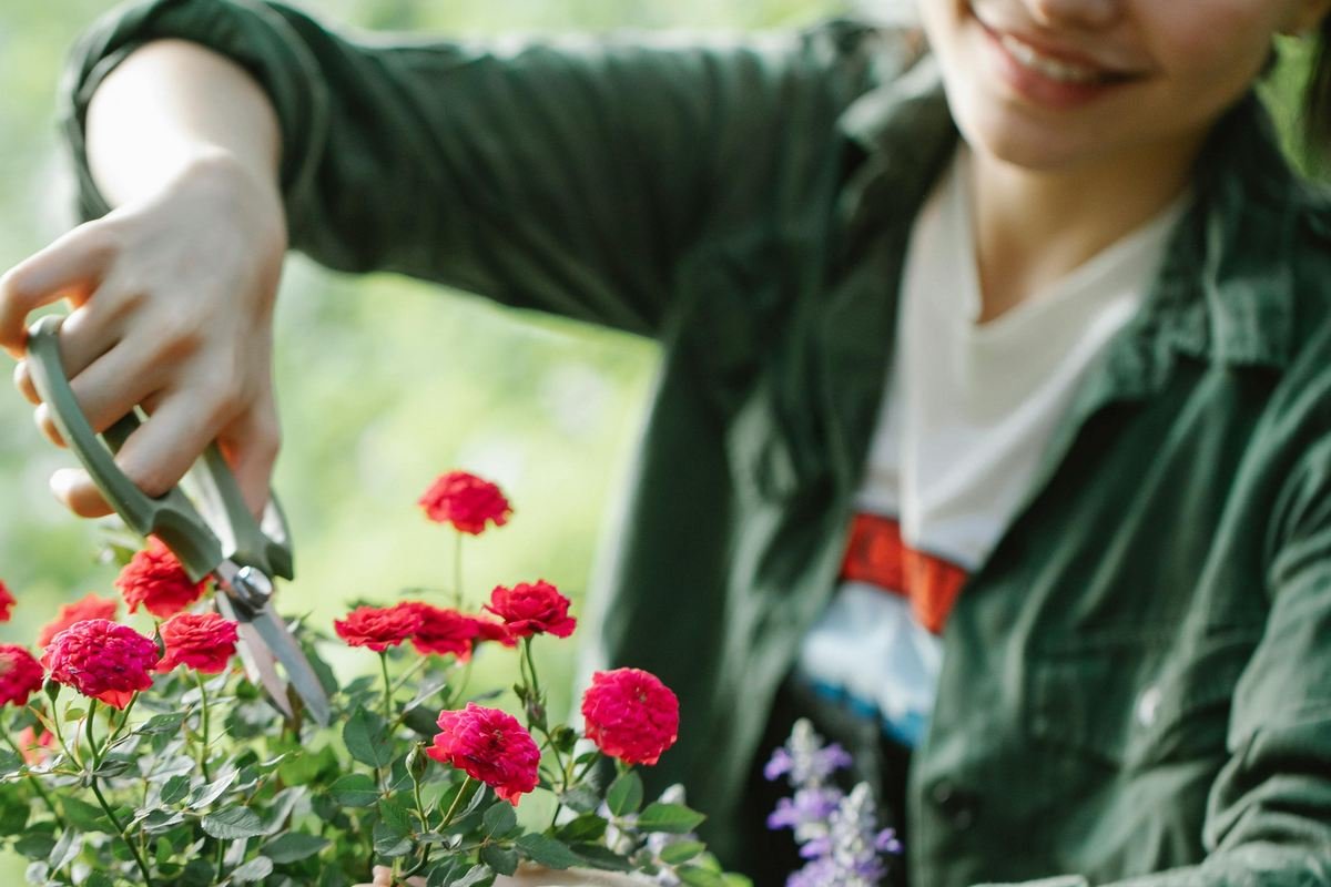 Jardineiro tem que emitir nota fiscal? Veja o guia completo 2026